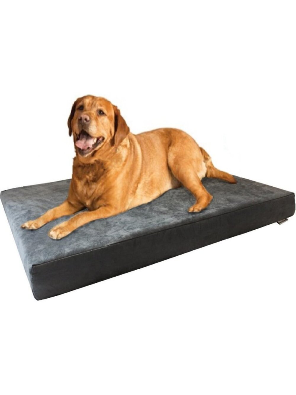 XL Orthopedic Memory Foam Dog Bed - Waterproof, Washable Cover for Medium to